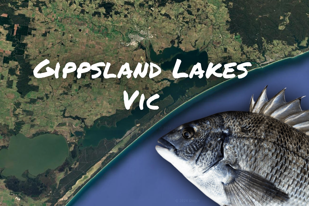 Gippsland Lakes Bream Fishing