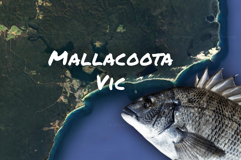 Mallacoota Fishing For Bream