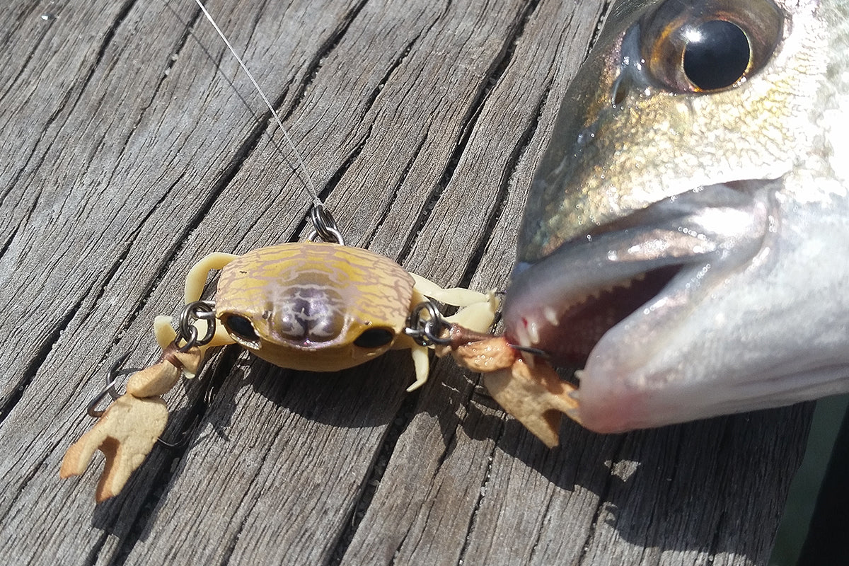 Complete Guide To Crab Lures For Bream