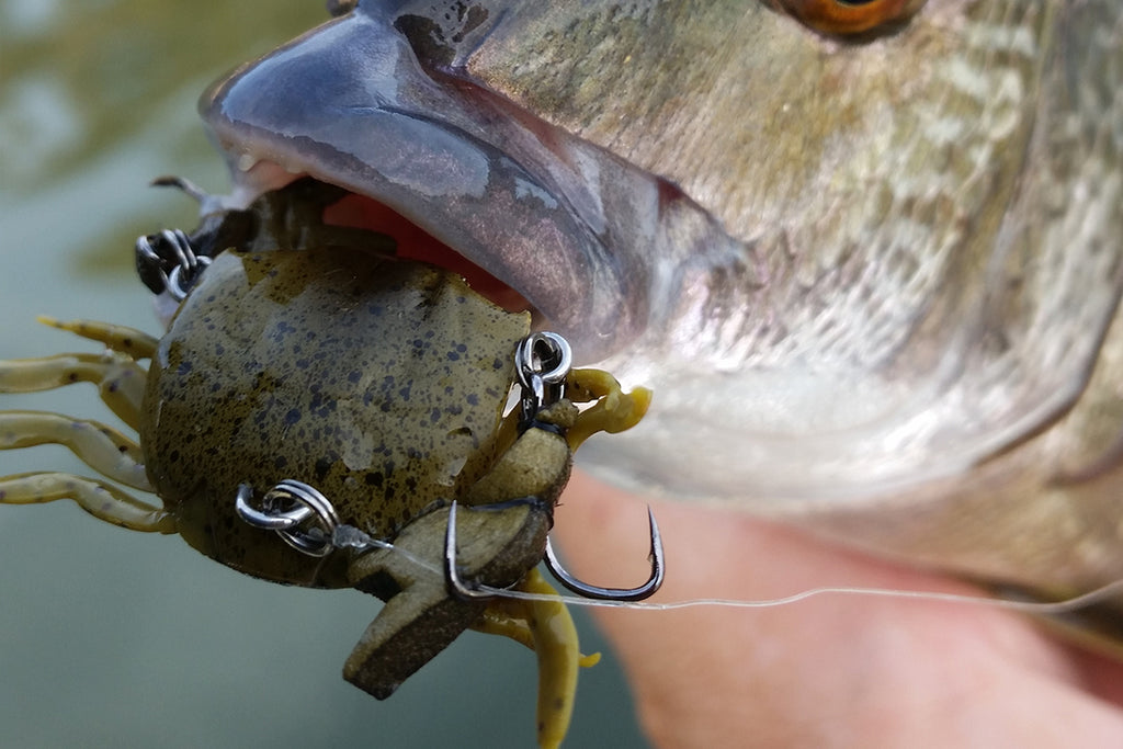 Fishing Pontoons For Bream With Crab Lures