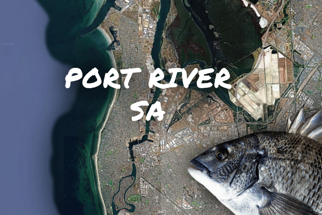 Port River South Aus Bream Fishing