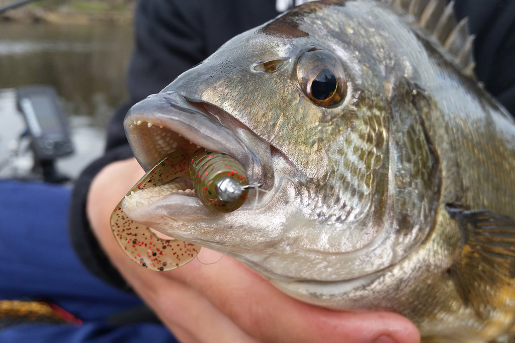 What Is Finesse Bream Fishing?